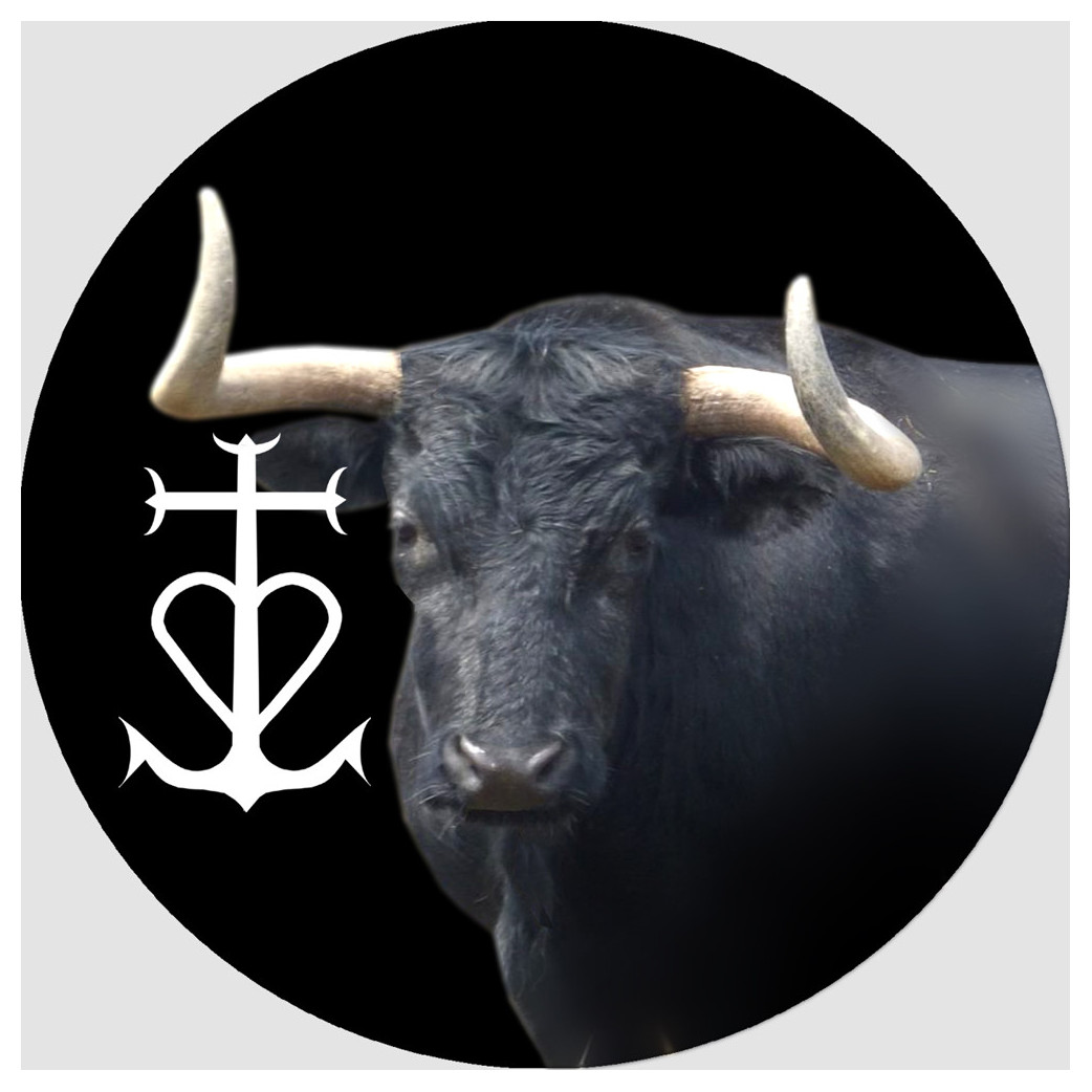 Taureau Camarguais - 10cm - Sticker/autocollant