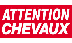 Sticker Attention Chevaux
