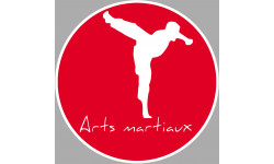 Arts martiaux karaté - 20cm - Sticker/autocollant