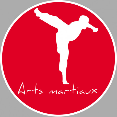 Arts martiaux karaté - 20cm - Sticker/autocollant
