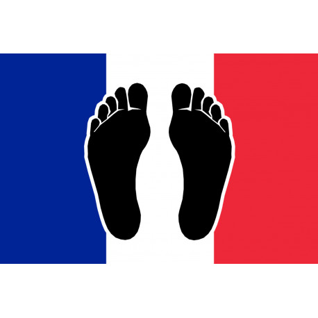 Pieds noirs drapeau Français - 10x6.5cm - Sticker/autocollant