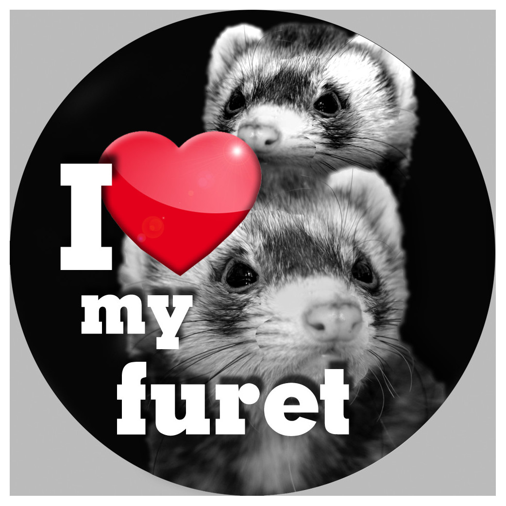 furet - 20cm - Sticker/autocollant