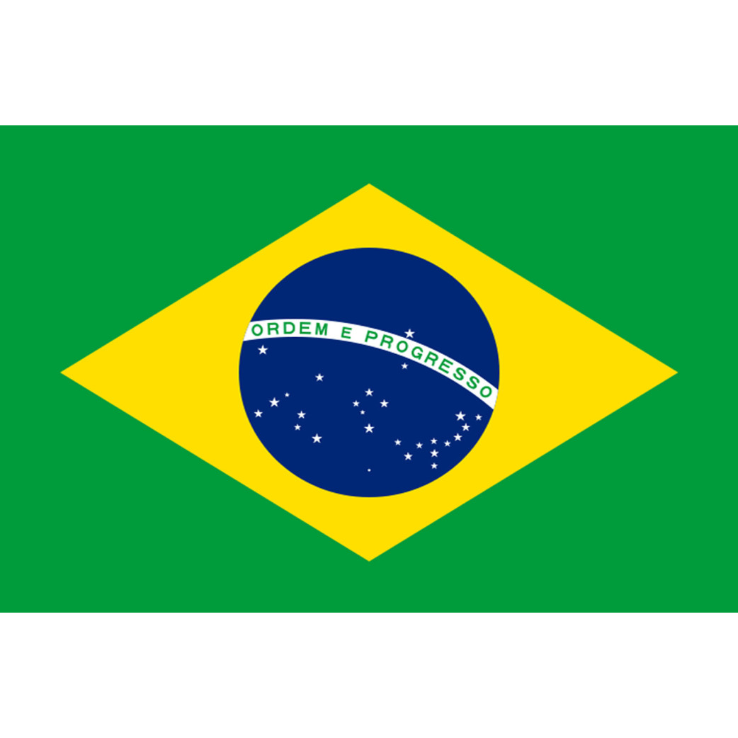 Drapeau Brésilien - 5x3.3 cm - Sticker/autocollant