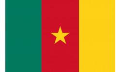 Drapeau Cameroun - 19.5 x 13 cm - Sticker/autocollant