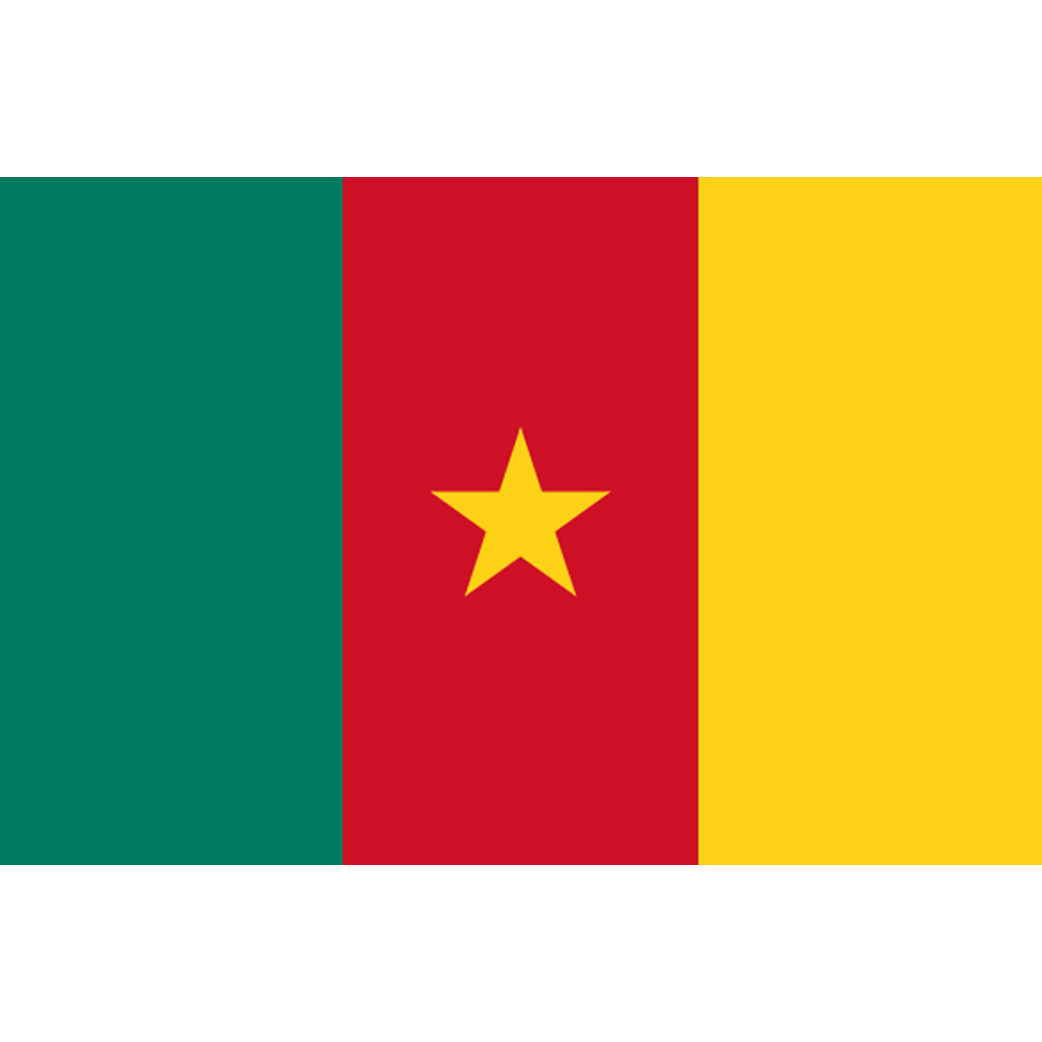 Drapeau Cameroun - 15 x 10 cm - Sticker/autocollant