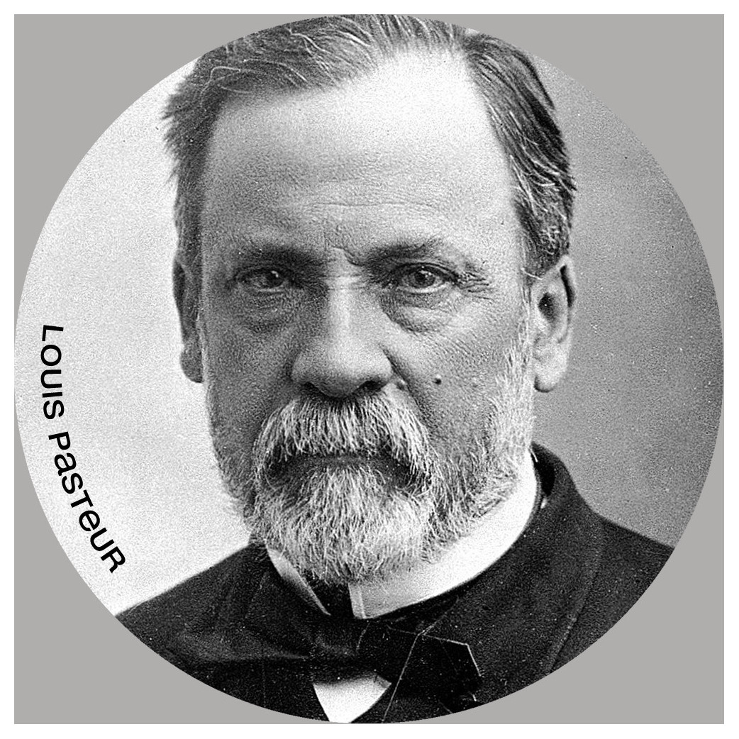 Louis Pasteur (20x20cm) - Sticker/autocollant