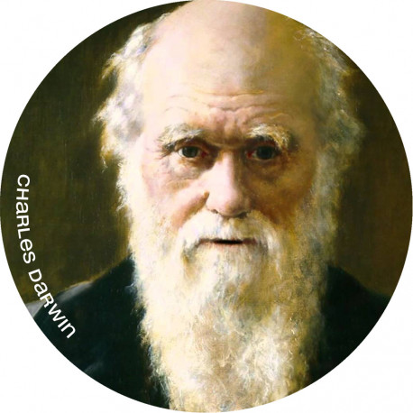 Charles Darwin (20x20cm) - Sticker/autocollant