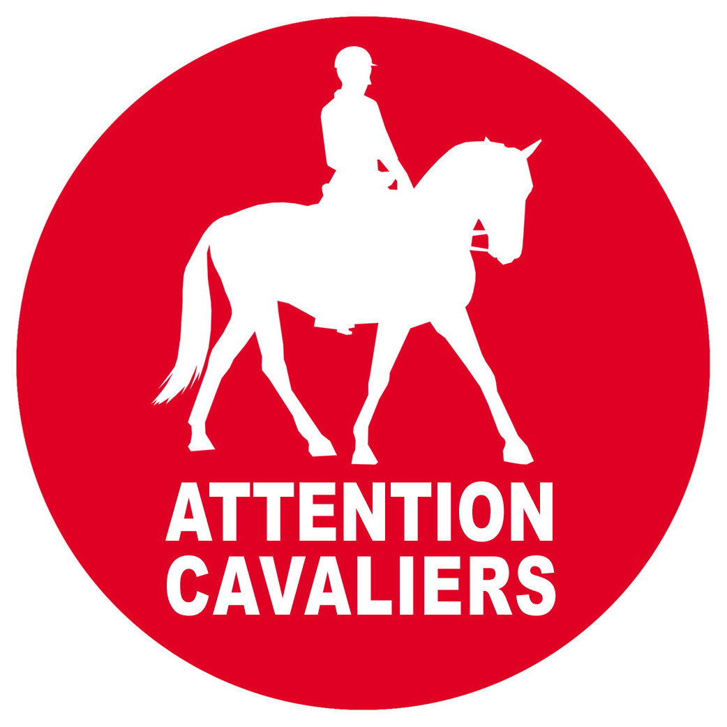 Attention Cavaliers - 10cm - Sticker/autocollant