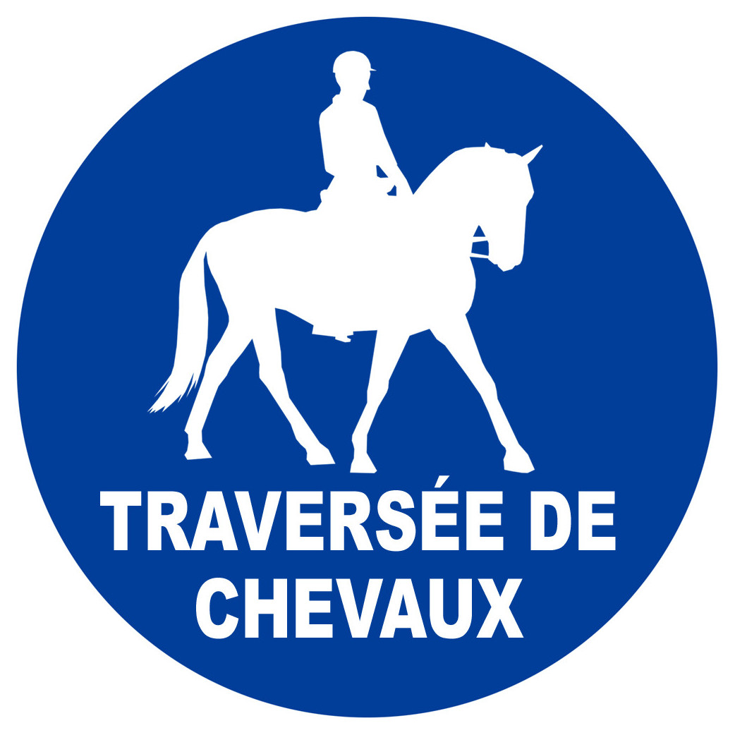 Traversée de chevaux - 10cm - Sticker/autocollant