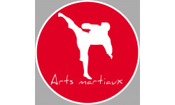 Arts martiaux série 5 - 20cm - Sticker/autocollant