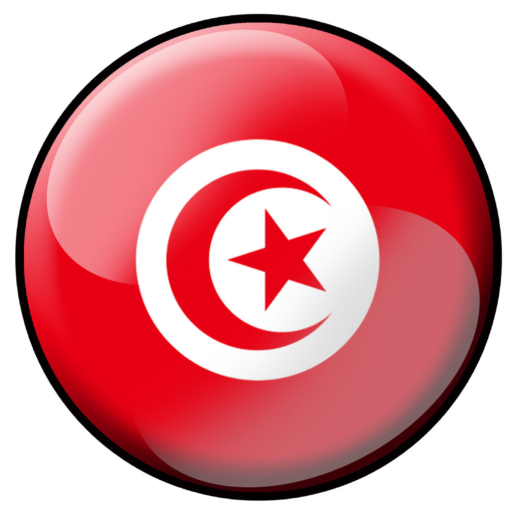 drapeau Tunisien rond - 20cm - Sticker/autocollant