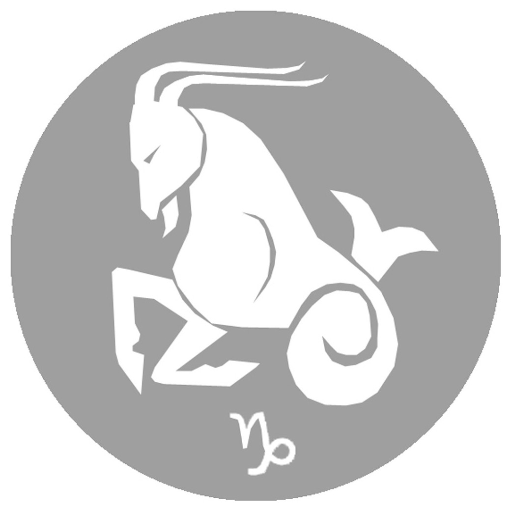signe zodiaque capricorne rond - 8cm - Sticker/autocollant