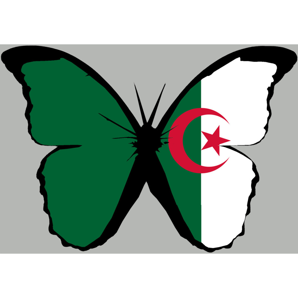 effet papillon Algérien - 15x10.5cm - Sticker/autocollant