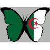 Sticker / autocollant : effet papillon Algérien - 15x10.5cm