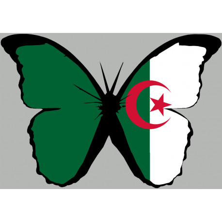 effet papillon Algérien - 10x7cm - Sticker/autocollant