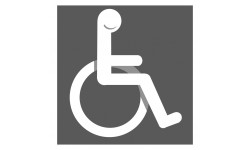 accessibilité handicapé moteur gris