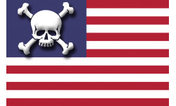 drapeau US crâne