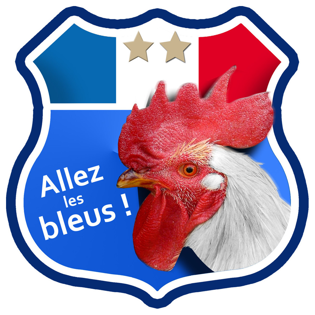 Allez les bleus deux étoiles ! - 10x10cm - Sticker/autocollant
