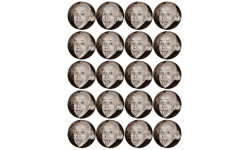 Albert Einstein (20 fois 5cm) - Sticker/autocollant