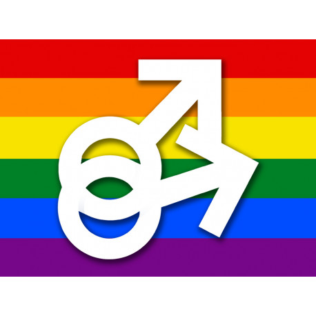 DRAPEAU LGBT gay  - 20x15cm - Sticker/autocollant
