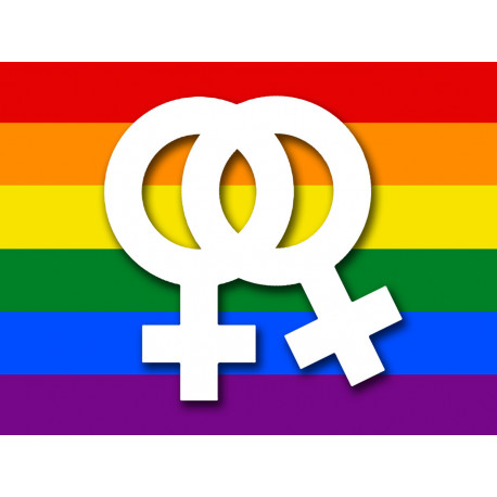 DRAPEAU LGBT lesbien - 5x3.7cm - Sticker/autocollant