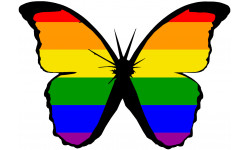 effet papillon LGBT - 10x7cm - Sticker/autocollant