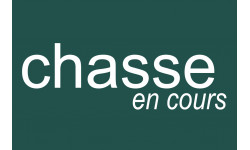 chasse en cours vert - 20x13.3cm - Sticker/autocollant