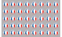 Sticker Règles pour les passagers - Stickers humour - STICKERS