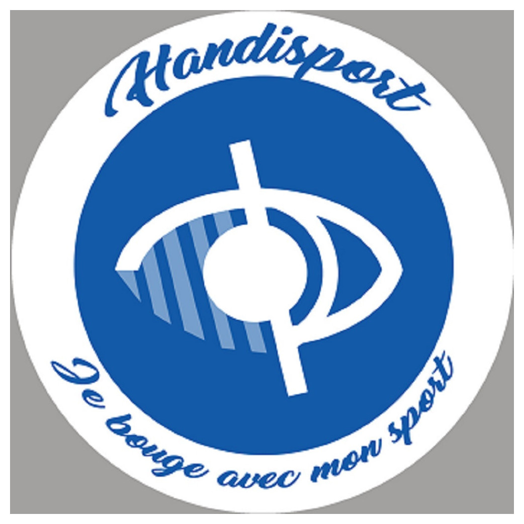 handisport malvoyant - 15cm - Sticker/autocollant