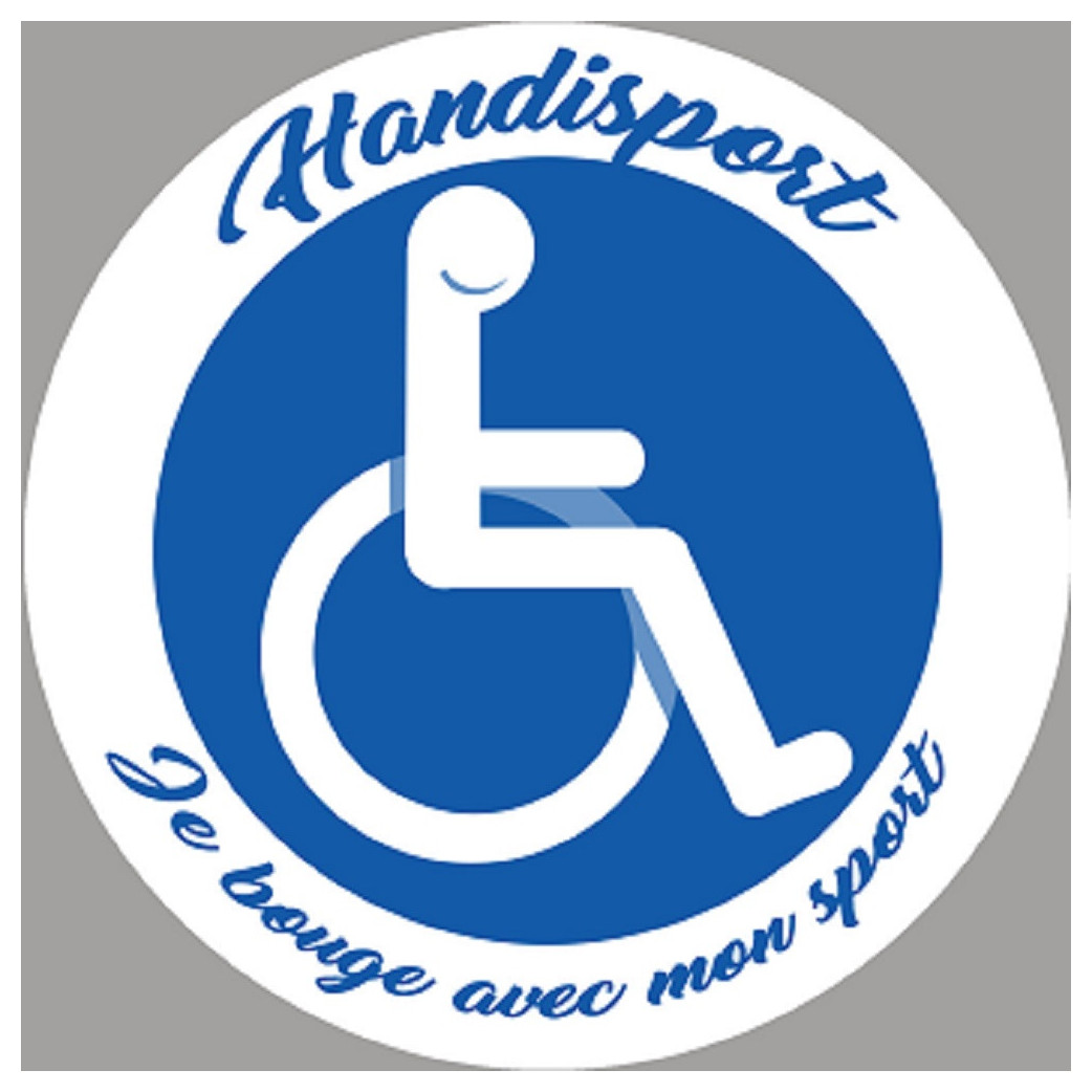 handisport fauteuil roulant - 20cm - Sticker/autocollant