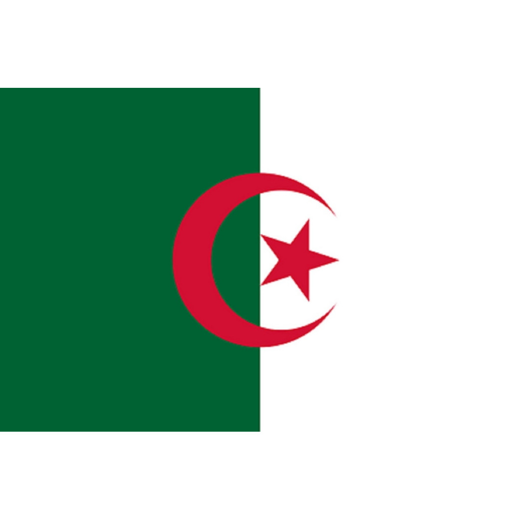 Drapeau Algérie (19.5x13cm) - Sticker/autocollant