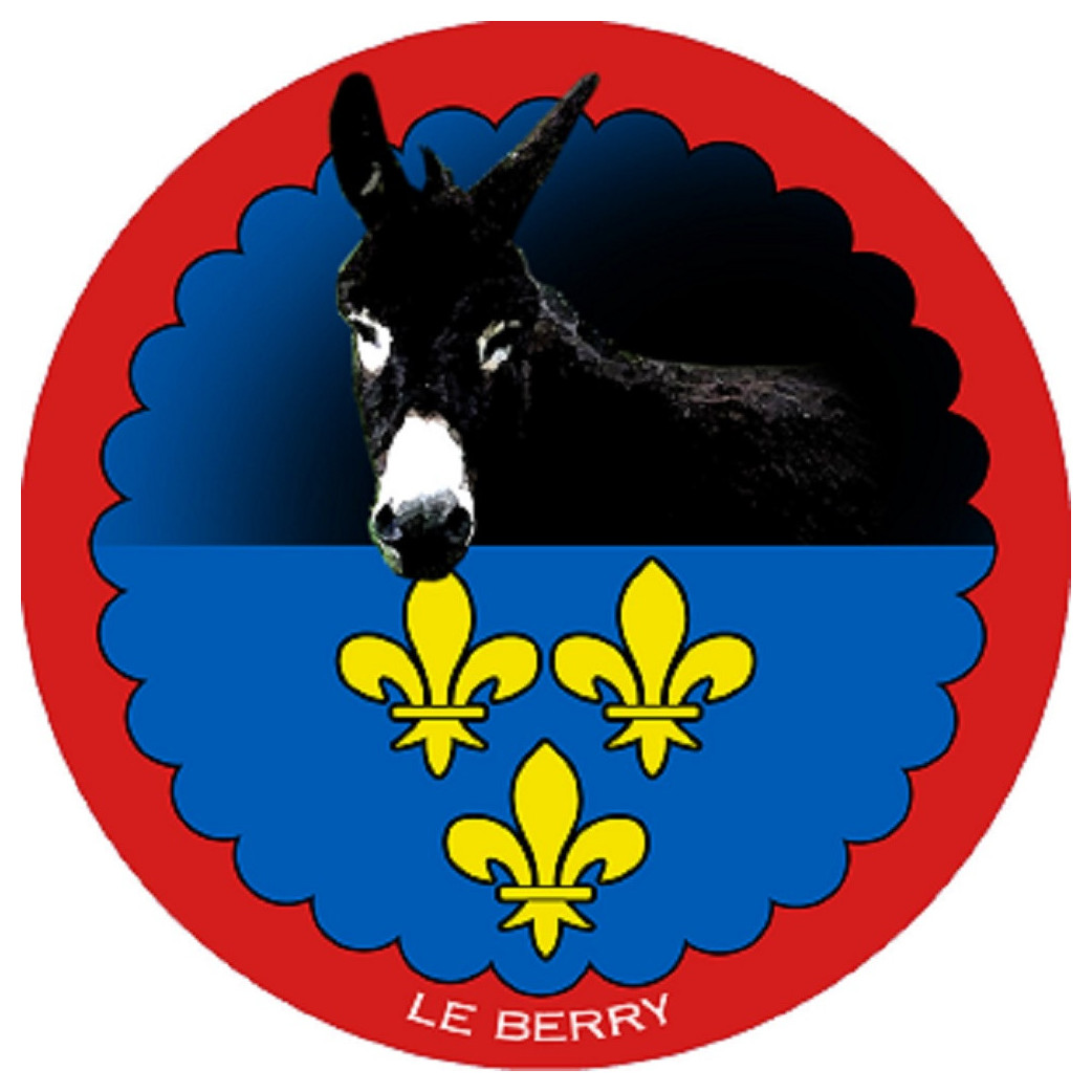 L'âne grand noir du Berry - 20 cm - Sticker/autocollant