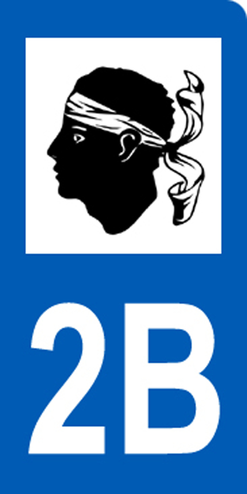 immatriculation motard 2B Corse (6x3cm) - Sticker/autocollant