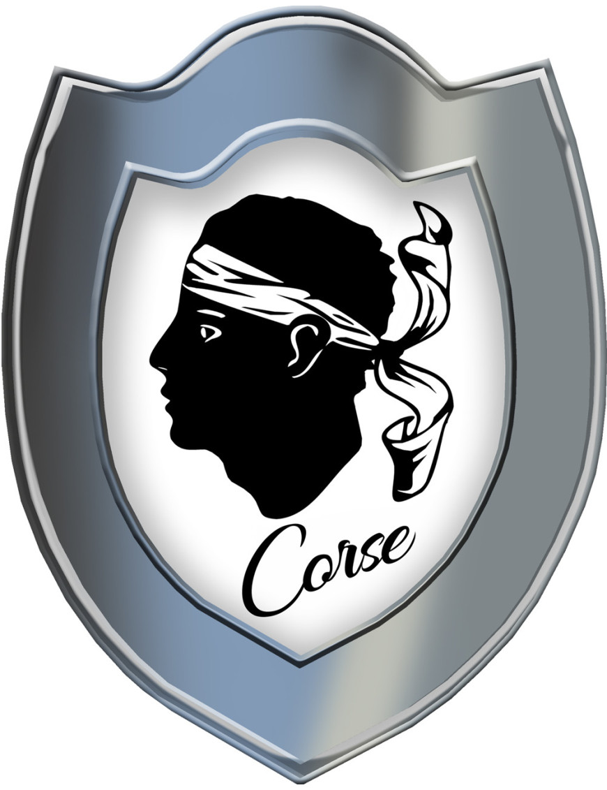 2 Stickers Pour Plaque D'immatriculation AUTO EUROBAND - Fond NOIR