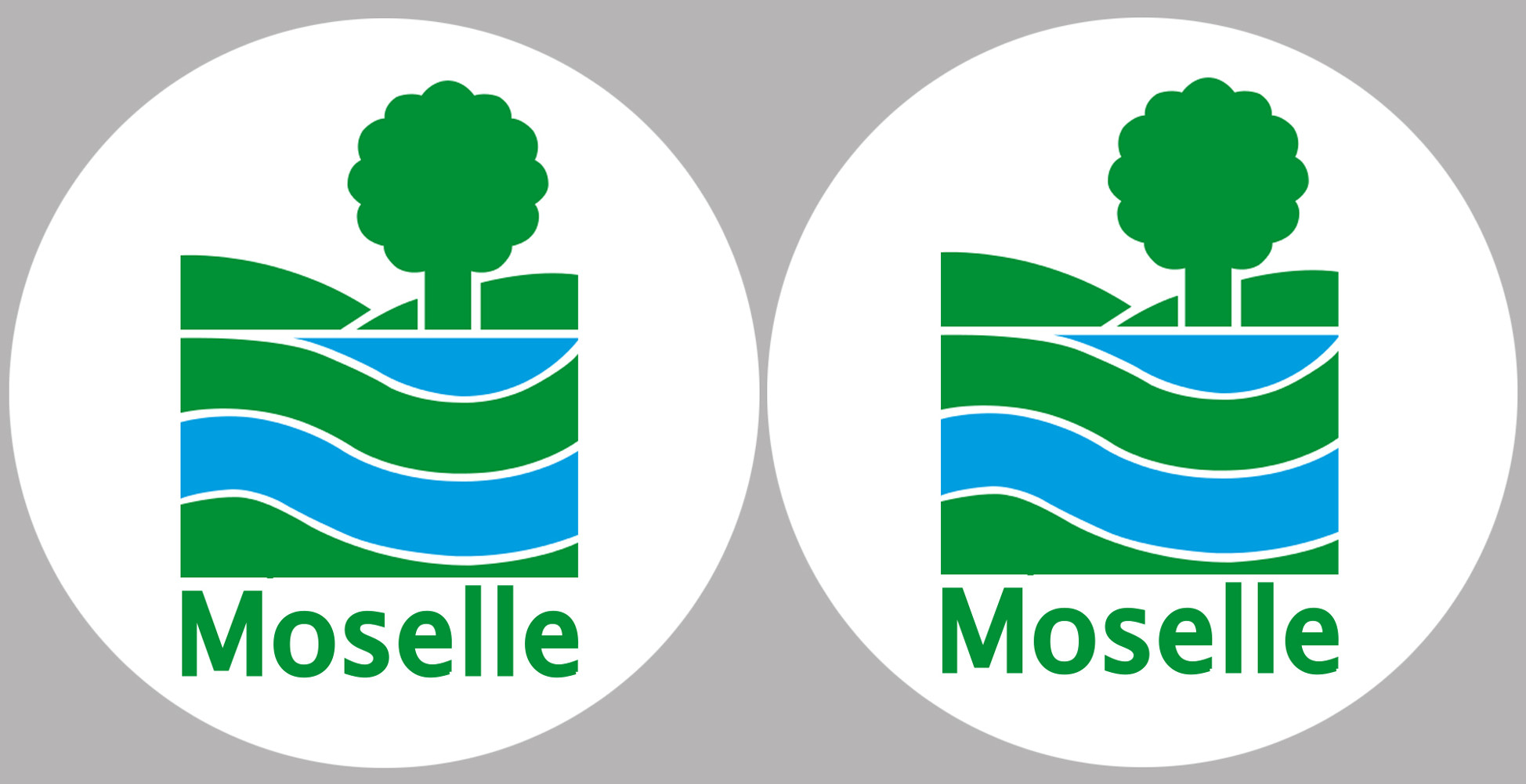 la Moselle (2fois 10cm) - Sticker/autocollant