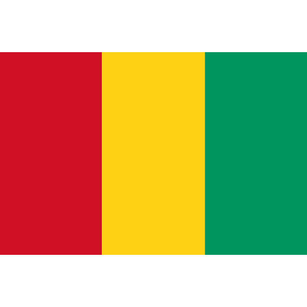 Drapeau Guinée (15x10cm) - Sticker/autocollant