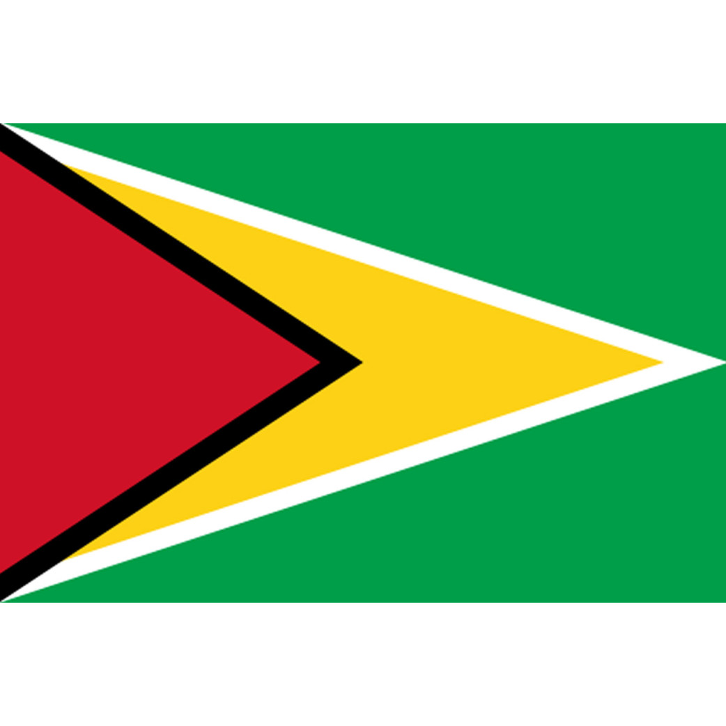 Drapeau Guyana - (19.5x13cm) - Sticker/autocollant