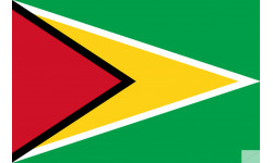 Drapeau Guyana - (5x3.3cm) - Sticker/autocollant