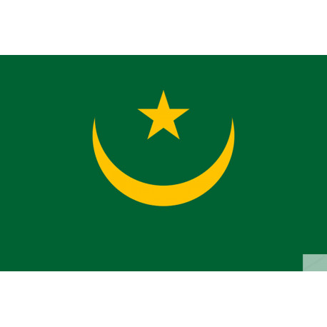 Drapeau Mauritanie (19.5x13cm) - Sticker/autocollant