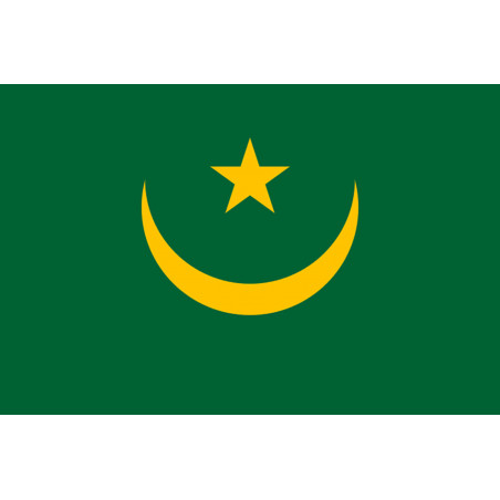 Drapeau Mauritanie (19.5x13cm) - Sticker/autocollant