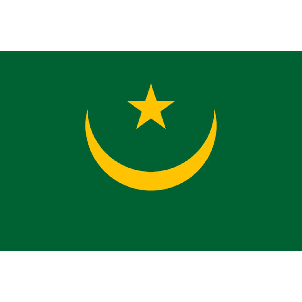 Drapeau Mauritanie (5x3.3cm) - Sticker/autocollant