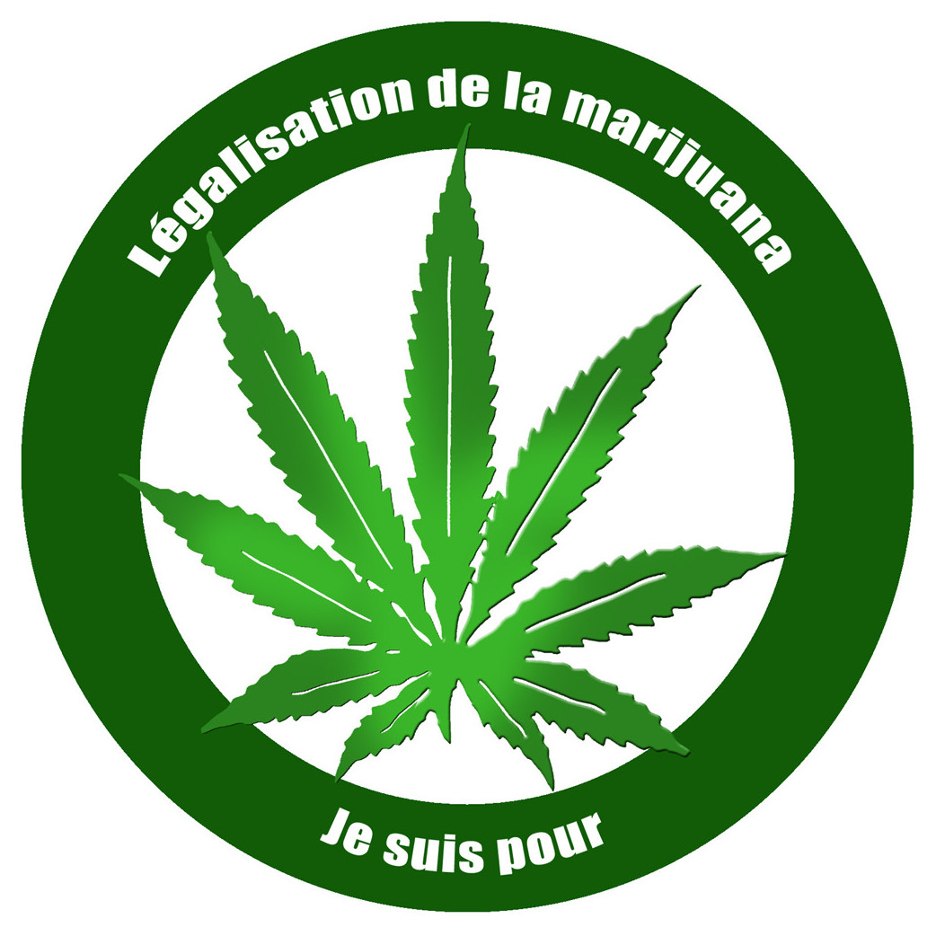 Pour la légalisation de la marijuana (15x15cm) - Sticker/autocollant