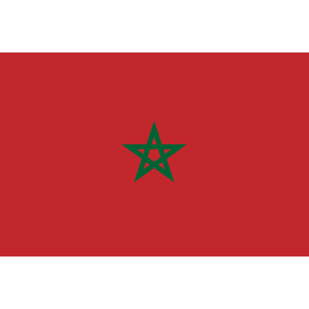 Drapeau Maroc (19.5x13cm) - Sticker/autocollant
