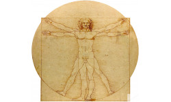 L'homme de Vitruve (15x14cm) - Sticker/autocollant