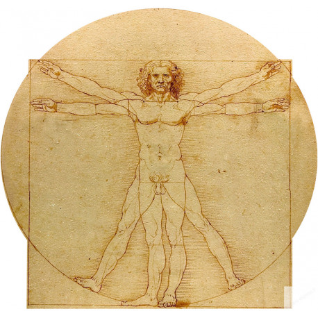 L'homme de Vitruve (10x9.5cm) - Sticker/autocollant