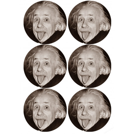 Albert Einstein (6 fois 9cm) - Sticker/autocollant