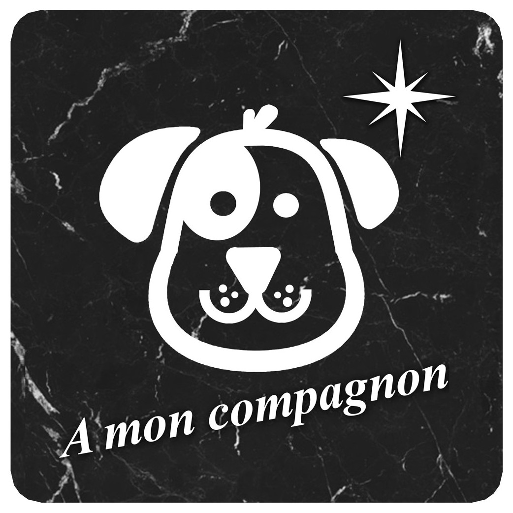 à mon compagnon chien marbre noir (20x20cm) - Sticker/autocollant
