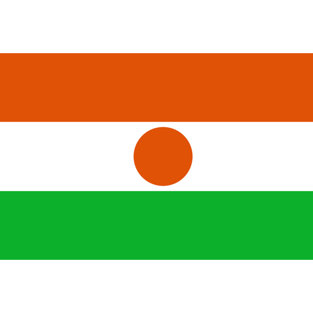 Drapeau Niger (15x10cm) - Sticker/autocollant
