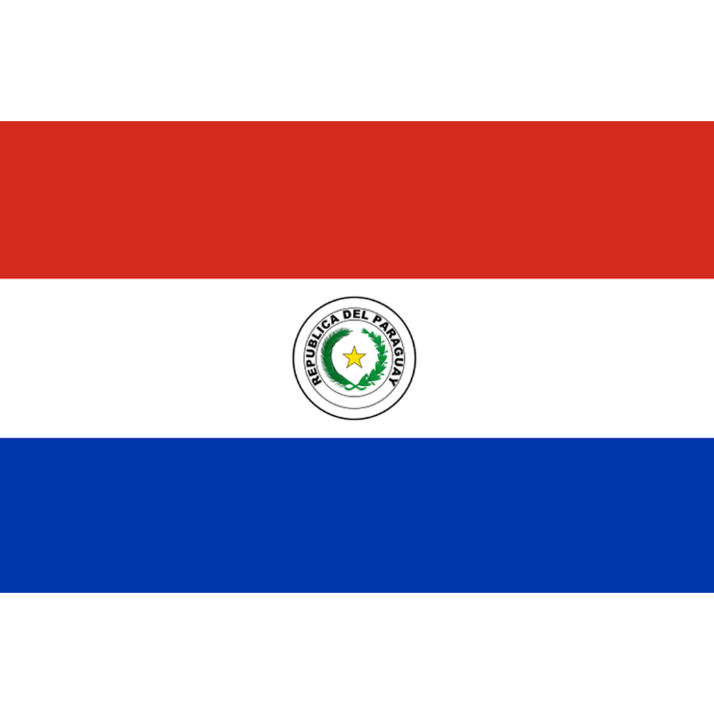 Drapeau Paraguay (19.5x13cm) - Sticker/autocollant