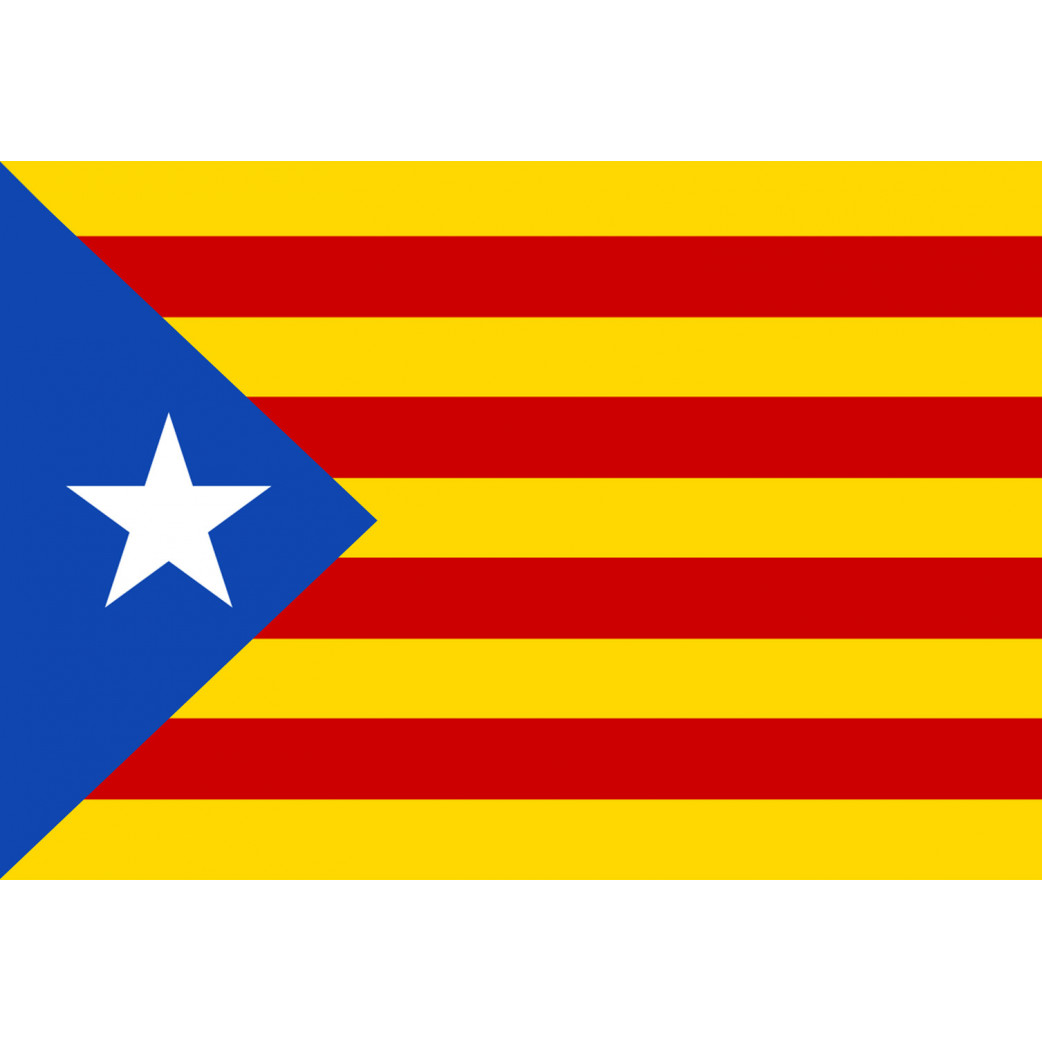 Drapeau Catalan étoilé (19.5x13cm) - Sticker/autocollant
